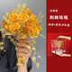 Cup Horse Chinese Style Bride Hochzeit Halten Blumen Golden Rose Hochzeit Geschenk Hochzeit Handgefertigte DIY XIUHE GESCHINNEN Best Freund Thorn Rose --- Fertiges Produkt + transparente Geschenkbox + Geschenktüte