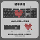 Logitech K845 wired mechanical keyboard, gaming e-sports computer office, ergonomic full size 104 keys, red axis, self-operated No. 1 member store exclusively provided