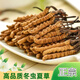Kangsils neue getrocknete Cordyceps authentisch getrocknete Cordyceps Geschenkbox, um die Auswahlqualität von Cordyceps für Älteste zu nähren und zu nähren.