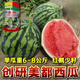 Store hot selling Chuangyan Meidu watermelon seeds with thin skin and few seeds, large fruit Kirin Sweet King seeds early maturing canned Chuangyan Meidu Kirin watermelon seeds base original delivery 1 can of about 800 seeds directly supplied from the base