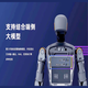 Singularité Human Intelligent Bipedal Robot Humanoid Robot Kick Football Boxing Dance Fall Prevention Robot