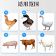 South China Qianmu (SOUTH RANCH) sodium selenite veterinary vitamin e for pigs, cattle, sheep and chicken auxiliary chicken, duck, livestock and poultry premix pregnancy and delivery feed sodium selenite VE1000g*3 bags
