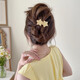 Two Worlds of Love Temperament Star Twist Clip on the Back of the Head Hair Clip for Women 2025 New High-Quality One-word Clip Hair Clip Hair Accessories Brown Star Twist Clip