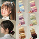 Hairband for girls 2025 new high-end hair rope for adults, hair tie, rubber band, high elasticity and durability, ponytail head rope hair accessories, dopamine mixed pack, five pack, colorful