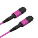 Guangyilian Fiber Optic Charm-MPO-MPO-LC 10 Gigabit multimode Senko MPO femelle B Polarité LSZH Contrôle de tronc pour module optique 40G / 100G 24 Core (OM4) MPO-MPO 1 mètre