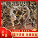 北京同仁堂足干正宗海马干货非中药材一对滋补泡酒配对煲汤公母非野肾阳高 5对装[9-11厘米]送6只特小海马