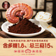 Ground Emperor Break Wall Ganoderma lucidum spore powder 60g bags of red Ganoderma lucidum to enhance immunity Non-Changbaishan Ganoderma lucidum powder Monthly experience pack [60g*1 box]