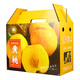 
10Jin[Jin equals 0.5 kg] Packing yellow peach gift box packaging box peach fresh golden yellow peach gift box fruit carton carton custom made 3895/blue fresh peach double-handed 8-10Jin[Jin equals 0.5 kg]