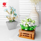
Shantoulin Village plant building blocks and flowers cute small ornaments DIY assembly toy wholesale XJ-10975(C) Lingboxian
