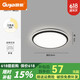 Lámpara de techo de Opudakochi sala de estar Guangdong Zhongshan Lámpara de techo de la sala de estar moderna lámpara de balcón de estudio simple de balcón nuevo estilo 9215 aromático 50 cm negro extremo
