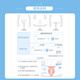 Comfortable (Schick) VIO Private Parts Specialized Electric Hair Removal Knife [1 handle 1 blade] Private Parts Shaver Bikini