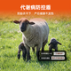Yingmaier breeding ewe premix lambing multi-pregnancy lactation ewe feed milk multi-Yingmaier premix ewe premix 20kg (lamb Duowang)