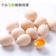 Jingxijia base direct delivery fresh eggs cereal eggs large eggs 50g fresh supermarket breakfast soft-boiled eggs express eggs 50g-20 pieces Jingxijia base direct delivery fresh eggs cereal eggs large eggs 50g fresh supermarket breakfast soft-boiled eggs express eggs 50g-20 pieces
