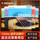 SF Express Mae Dadario String de guitare EJ16 SET DE 6 FOLK MUJITA CONTRESS