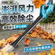 Sèche-cheveux Séchante haute puissance Batterie au lithium Industriel Broupement rechargeable Power Swew Snow Blow Feuilles Feuilles tombées Feuilles Foulé Crt [Ultimate Storm-Blue] Charging Storm Gun 3881