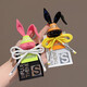 Originaldesign Nische Klappbare Kaninchenbrosche für Frauen in 2024 neuer kreativer Kleidung Stoff Aufkleber Corsage Bag Accessoires MG1278 Broschen-Weiß-Kaninchen