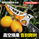 Green Forest Fruit Picking Magic Telescopic Pole for Picking Persimmons, Fruit Scissors for Picking Loquats and Longan, High-altitude Picking Scissors for Toon Picking, 2 Sections of Strong Telescopic Style, 1.15-2.25 Meters + Saw Blade + Eye Protection