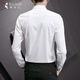 Woodpecker crisp formal shirt men's autumn business professional comfortable cotton casual long-sleeved shirt white L
