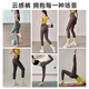Yuebu Yoga Pants Women's Summer High Waist Hip Lifting Sports Pants Pilates Yoga Wear Fitness Pants Slimming Shark Pants Ebony Gray S Recommended Weight 80-100Jin Jin is equal to 0.5 kg