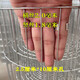 Zhongsenweit galvanized long-hole pigeon cage wire mesh fence for breeding chickens, pigeons and rabbits, homemade birdcage window sealing protective grid 30cm high - 1.1X10cm hole - wire 1.8 thick 1 meter long