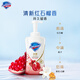 Safeguard Purifying Foaming Shower Gel, Pomegranate 500g*2+Camellia 500g, long-lasting fragrance, unisex