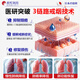 
Songmachi Pharmaceutical Japan's special effect special artifact replacement for men's special lung clearing and suction stick smoking quit stick chewing gum