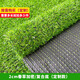 Liangxiang Simulated Lawn Carpet Plastic Artificial Green Fake Turf Kindergarten Balcony Outdoor Padding Courtyard Engineering Fence 2mx0.5m Spring Grass 2cm Encrypted Style
