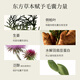 Pu Zhi Purzeal Mulin Sichuan Ingwer Anti-Verlust-Shampoo starke, feste und wütende Haarölkontrolle Flauschiger Shampoo 400 ml