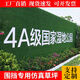 Lezijun simulated artificial turf carpet outdoor turf green decoration green plant engineering kindergarten mat 1 military backless 2*25