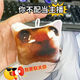 网红疯狂旋转猫集合蒜鸟钥匙扣Oi旋转猫挂件发声器钥匙扣搞笑猫 小女孩钥匙扣挂件-橙色