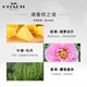 COACH Flower Perfume Women's 30ml Liu Yu's Same Style Ancient Building Gift Box Birthday Gift Girls Fragrance