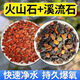 Natural volcanic stone stream stone fish tank decoration package natural native aquatic landscaping bottom sand special stone large grain 5Jin Jin equals 0.5kg volcanic stone + 5Jin Jin equals 0.5kg stream stone king fried combination ancient method of fish farming stabilizes water quality without changing water