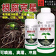 Root rot nemesis Bacillus licheniformis Bacillus harzianum Trichoderma blight dead root withered root rot medicine 500g