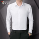 Woodpecker crisp formal shirt men's autumn business professional comfortable cotton casual long-sleeved shirt white L