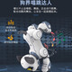 JJR/C Educación temprana Machine de control de voz inteligente Toys para niños Toys Boys 3-6 años niñas 2-4-8 años Robot de regalo de cumpleaños Programación de Robot Inteligente Seguimiento + Interacción táctil [N1 Gold] Seguimiento inteligente Programación Toque Sensado Aprendizaje Compañero
