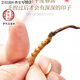 Ivanmai Auténtico Cordyceps Cordyceps Cordyceps Cordyceps Casco de hierba no rota Empacada de tubos de raíz súper grande Liangshan Yivanmai Yivanta prueba 1 botella