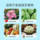 Dewoduo plant regeneration agent nutrient solution universal 6-pack hydroponic money tree flower fertilizer green plant flower rooting solution