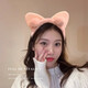 Cartoon face wash special headband for women 2025 new plush headband for hair pressure makeup cute hairpins hairband headwear 2 random main pictures