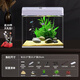 Changrui Small Fish Tank Small Desktop Living Room Household Glass No-Water Change Mini CR230+ Water Orchid Green Bamboo Scenery (Real Aquatic Plants)