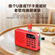 Newman (Newsmy) L1 radio for the elderly rechargeable plug-in card mini portable small opera player multi-functional small speaker 2025 new model