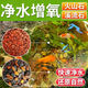 Natural volcanic stone stream stone fish tank decoration package natural native aquatic landscaping bottom sand special stone large grain 5Jin Jin equals 0.5kg volcanic stone + 5Jin Jin equals 0.5kg stream stone king fried combination ancient method of fish farming stabilizes water quality without changing water
