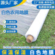 Film plastic film PE film ground film protective film agricultural film construction engineering film concrete curing film 3 meters 20 meters long for small vegetable garden / roll