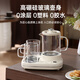 CHIGO Health Pot Double Oven Teapot Tea Maker Stew Pot All-in-One Gift Box Set Office Small Thermostat Coaster Health Cup for Girls High-Looking All-Glass Stew and Warm Three-in-One 0.6L Glass Kettle + 0.2L Cup*2