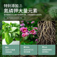 Peat nutrient soil, universal soil for flower cultivation, household vegetable soil, special soil for succulent orchids, soil for flower cultivation, peat light soil - 5 liters - organic fertilizer added