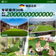 Qingya simulated lawn carpet, fake turf bedding, plastic outdoor artificial court, artificial fence, kindergarten green floor mat, 2 cm, newly upgraded 11-pin encryption, high-quality B-grade model (4 meters wide and 25 meters long) 100 square meters