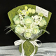 Huawang Flowers Scottish Green Rose Birthday Gift Bouquet for Girlfriend and Wife Same-day Delivery in the City I Really Love You 6 Scottish Green Roses (Spray Dyeing) | MTE80