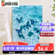 
Kazuo Butterfly Digital Oil Painting 2025 New Drawing and Wasting Time Artifact DIY Handmade Oil Painting Colored Acrylic Painting SJ14699 60*80cm Photo Frame (Color Selectable) + Brush Pigment
