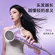 AUX household hair dryer high-speed 2400W high-power quick-drying hair dryer negative ion protection hair dryer blows strong wind for men and women only does not hurt the hair dryer gift purple