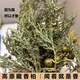Tibetan Hair Straightening Authentic Plateau Tibetan Cedar Branches and Leaves as Crystal House Purifiers to Remove Pollution and Purify the Air Wild Tibetan Cedar Half Jin Jin is equal to 0.5 kg