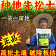Loosening essence soil loosening activator universal no-deep tillage prevention hardening to adjust acid and alkali no deep tillage soil activator 500g 1 bag universal orchard farmland / loose soil fertilizer